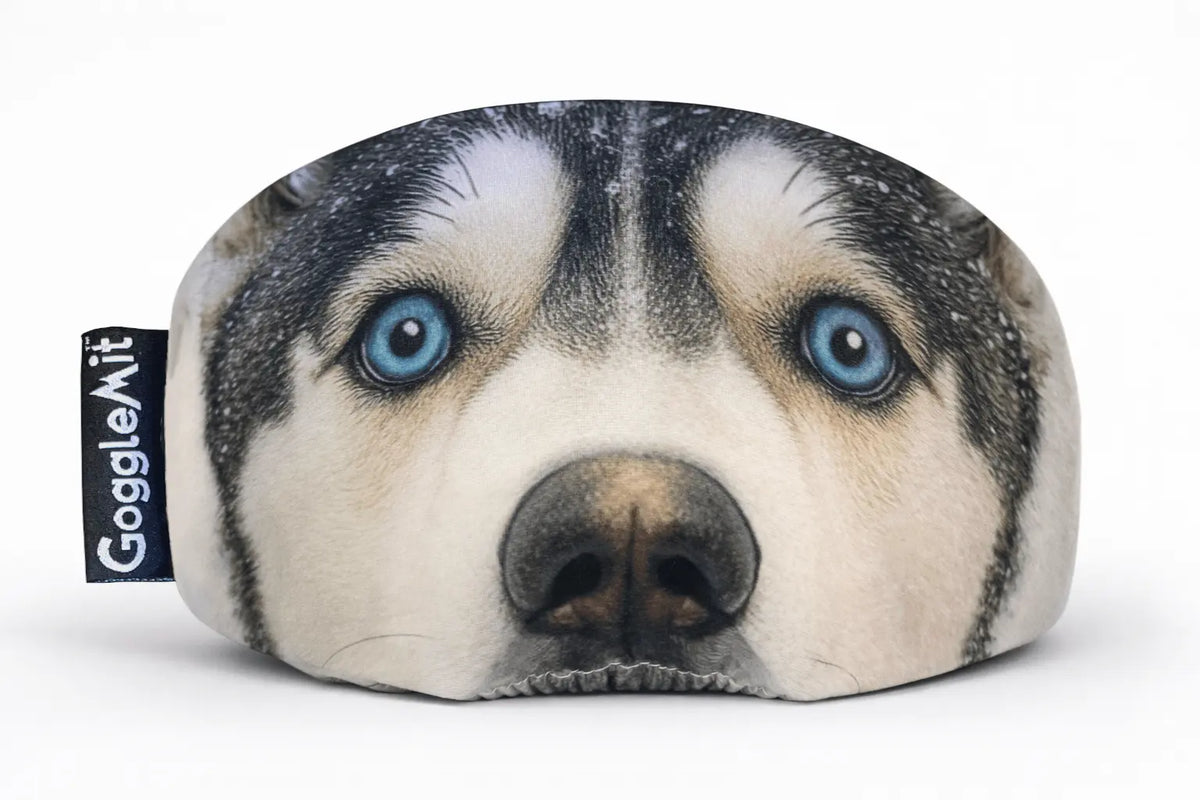 Goggle cover with piercing blue husky eyes.